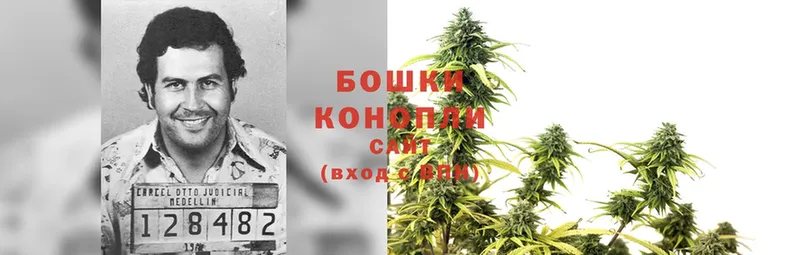 Конопля SATIVA & INDICA  кракен ССЫЛКА  Грязи 